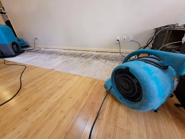Professional Water Extraction technician working in Mission, SD